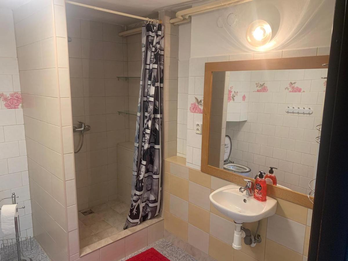 Maly Byt 1+1 Karlsbad Exteriör bild